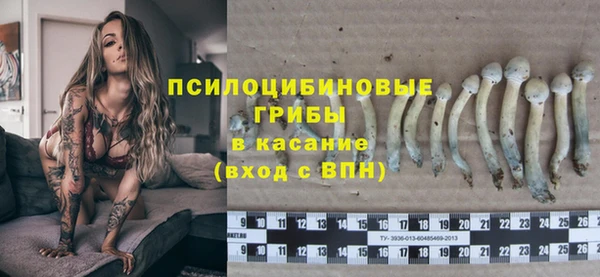 гашик Лагань