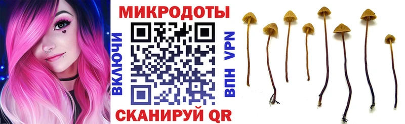 купить наркотик  Венёв  Галлюциногенные грибы ЛСД 